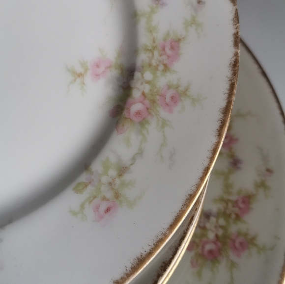 Antique Theodore Haviland Limoges Plates 7 - Picture 3 of 8